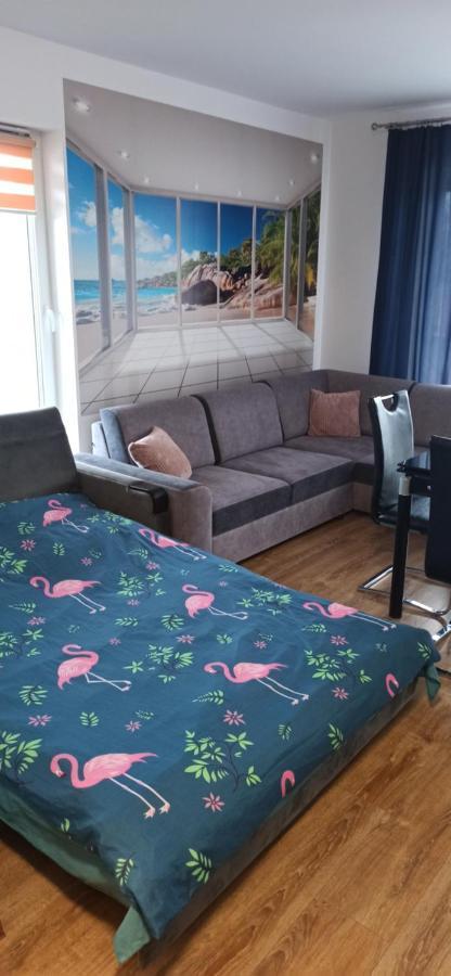 דירות מידזיזדרויה Flamingo 19 מראה חיצוני תמונה
