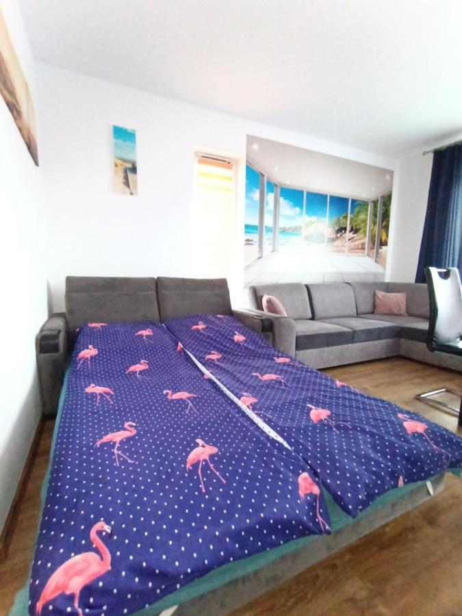 דירות מידזיזדרויה Flamingo 19 מראה חיצוני תמונה